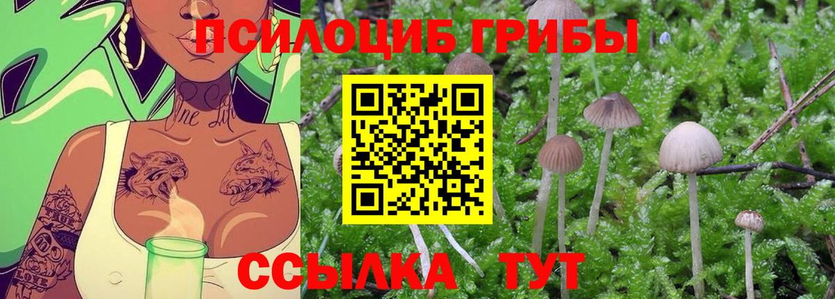 MDMA Кингисепп