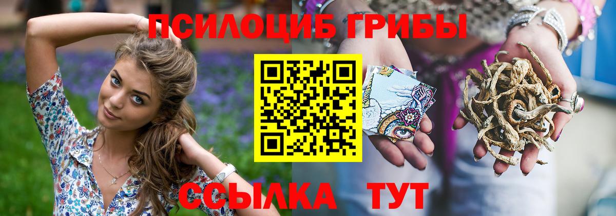 Галлюциногенные грибы MAGIC MUSHROOMS Кингисепп